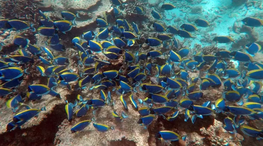 MALDIVES · 07·18